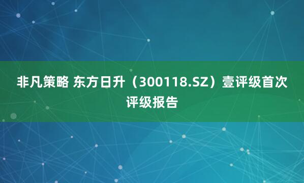非凡策略 东方日升（300118.SZ）壹评级首次评级报告