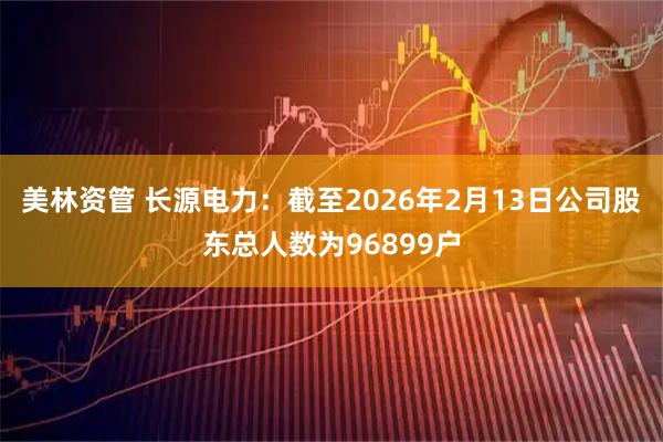 美林资管 长源电力：截至2026年2月13日公司股东总人数为96899户