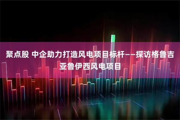 聚点股 中企助力打造风电项目标杆——探访格鲁吉亚鲁伊西风电项目